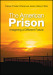 The American Prison